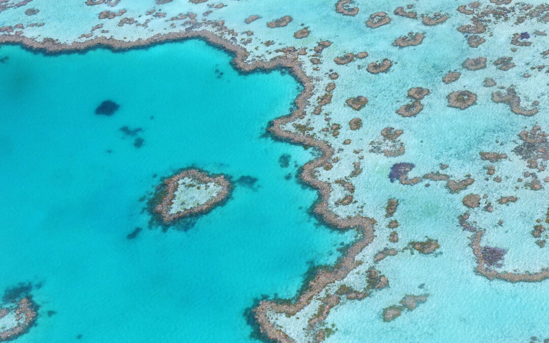 Dive Into Luxury with an Australia Yacht Charter