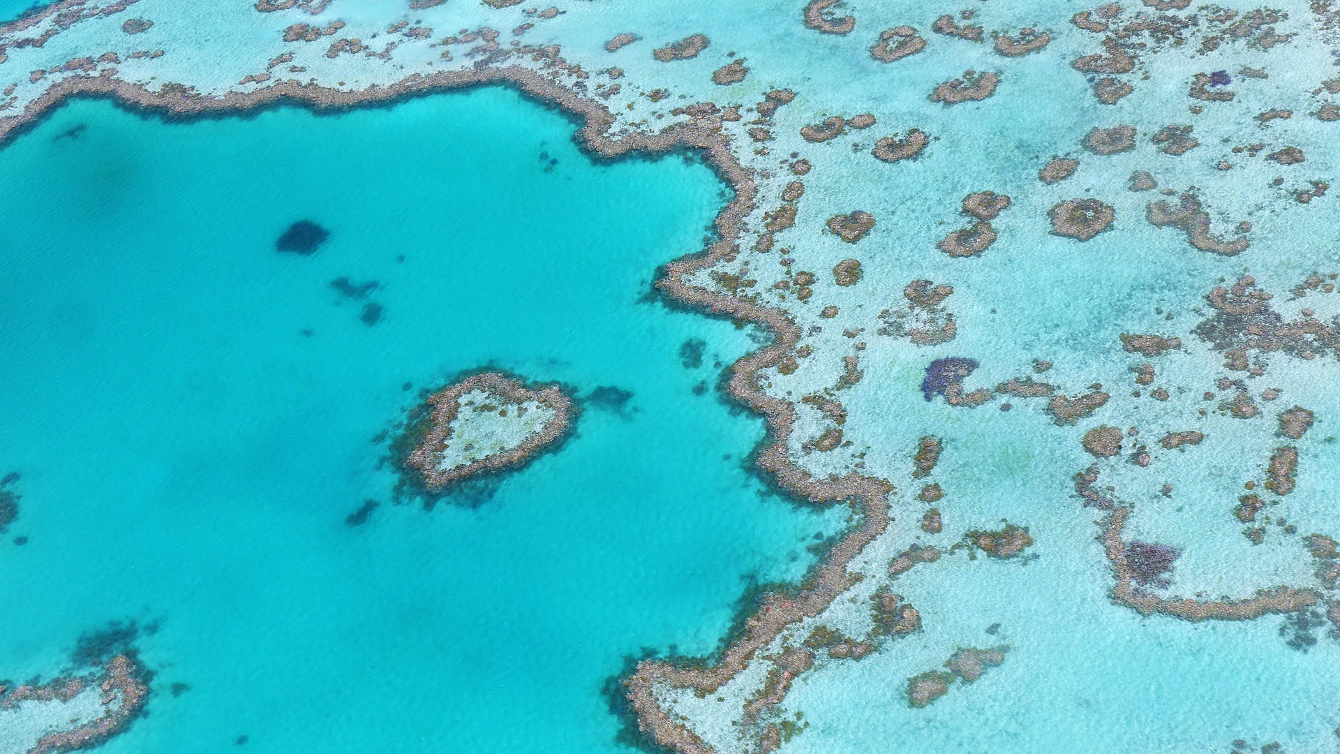 Ellure Yachts, Australia Yacht Charter